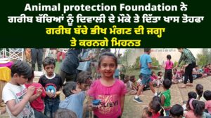 Animal protection Foundation ਨੇ ਗਰੀਬ ਬੱਚਿਆਂ ਨੂੰ ਦਿਵਾਲੀ ਦੇ ਮੌਕੇ ਤੇ ਦਿੱਤਾ ਖਾਸ ਤੋਹਫਾ