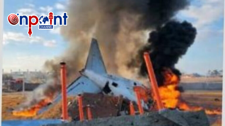 ਦੱਖਣੀ ਕੋਰੀਆ ਜਹਾਜ਼ ਕ੍ਰੈਸ਼, 2 ਨੂੰ ਛੱਡ ਕੇ ਸਾਰੇ 179 ਮੁਸਾਫਰ ਮੌਤ ਦੇ ਮੂੰਹ ਜਾ ਪਏ