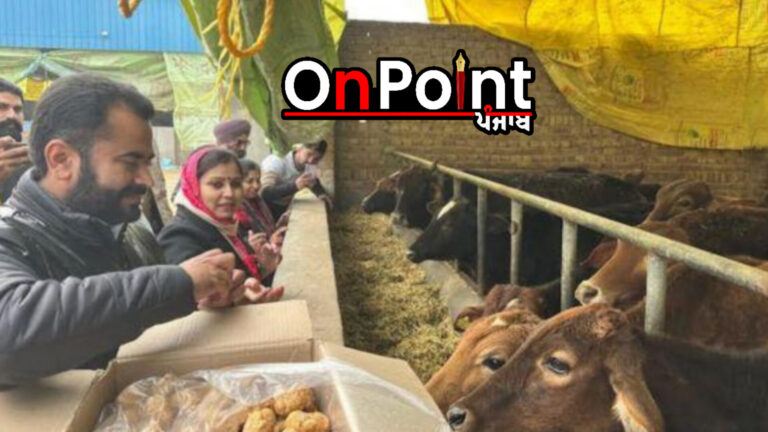 40 ਲੱਖ ਦੀ ਲਾਗਤ ਨਾਲ ਗਉਸ਼ਾਲਾ ਵਿਖੇ ਬਣਾਏ ਜਾ ਰਹੇ ਹਨ 4 ਸ਼ੈਡ—ਨਰਿੰਦਰ ਪਾਲ ਸਿੰਘ ਸਵਨਾ