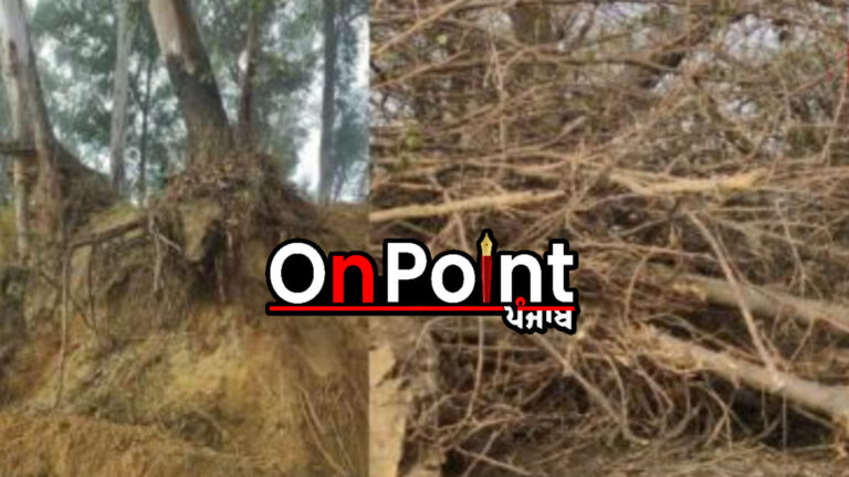 PAC ਨੇ ਗਰੀਨ ਟ੍ਰਿਬਿਊਨਲ ਦਾ ਕੀਤਾ ਰੁੱਖ,ਸਿੰਚਾਈ ਵਿਭਾਗ ਵਲੋਂ ਲੁਧਿਆਣਾ ਦੇ ਜੰਗਲਾਂ ਨੂੰ ਕੀਤਾ ਨੁਕਸਾਨ