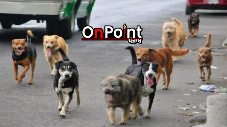 ਆਵਾਰਾ ਕੁੱਤਿਆਂ ਦੀ ਦਹਿਸ਼ਤ ਬਰਨਾਲਾ ‘ਚ