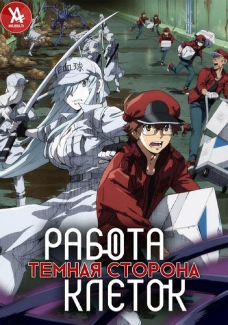 Hataraku saibou 2025