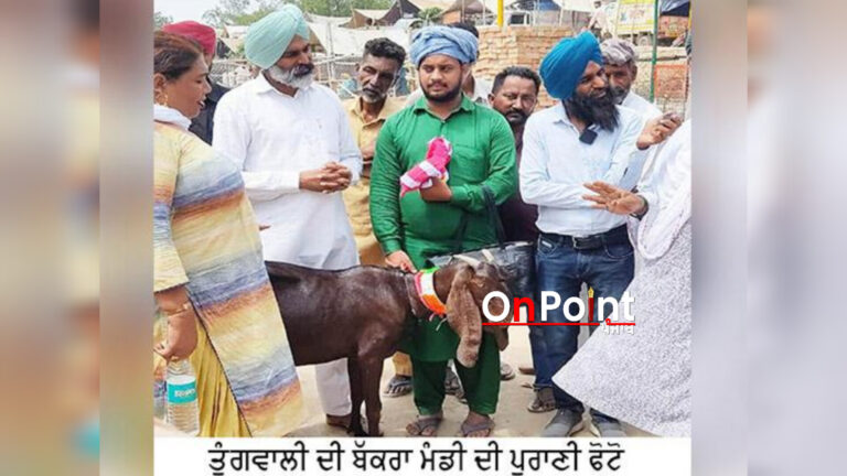 ਮਾਮਲਾ ਤੁੰਗਵਾਲੀ ਵਿੱਚ ਲੱਗਦੀ ਬੱਕਰੀ ਮੰਡੀ ਦਾ