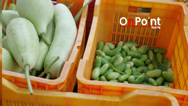 ਜਲੰਧਰ ’ਚ ਹਫ਼ਤਾਵਾਰੀ ਜੈਵਿਕ ਮੰਡੀ ਨੂੰ ਮਿਲ ਰਿਹੈ ਭਰਵਾਂ ਹੁੰਗਾਰਾ : ਡਾ. ਰਣਧੀਰ ਸਿੰਘ