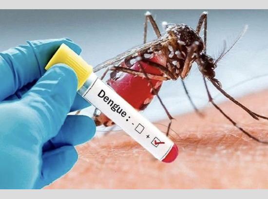 ਡੇਂਗੂ ਨੇ ‘ਡੰਗ’ ਕੀਤਾ ਤੇਜ਼, ਸਿਹਤ ਵਿਭਾਗ ਅਲਰਟ ‘ਤੇ..!