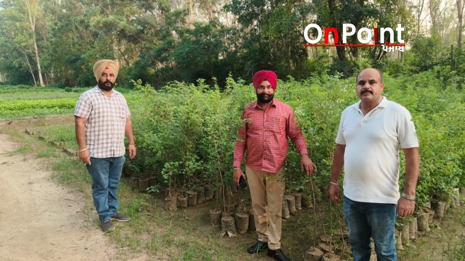 ਜਲੰਧਰ ’ਚ ਹਰਿਆਵਲ ਵਧਾਉਣ ਲਈ ਇਸ ਮਾਨਸੂਨ ’ਚ ਲਗਾਏ ਜਾਣਗੇ 3.5 ਲੱਖ ਤੋਂ ਵੱਧ ਬੂਟੇ