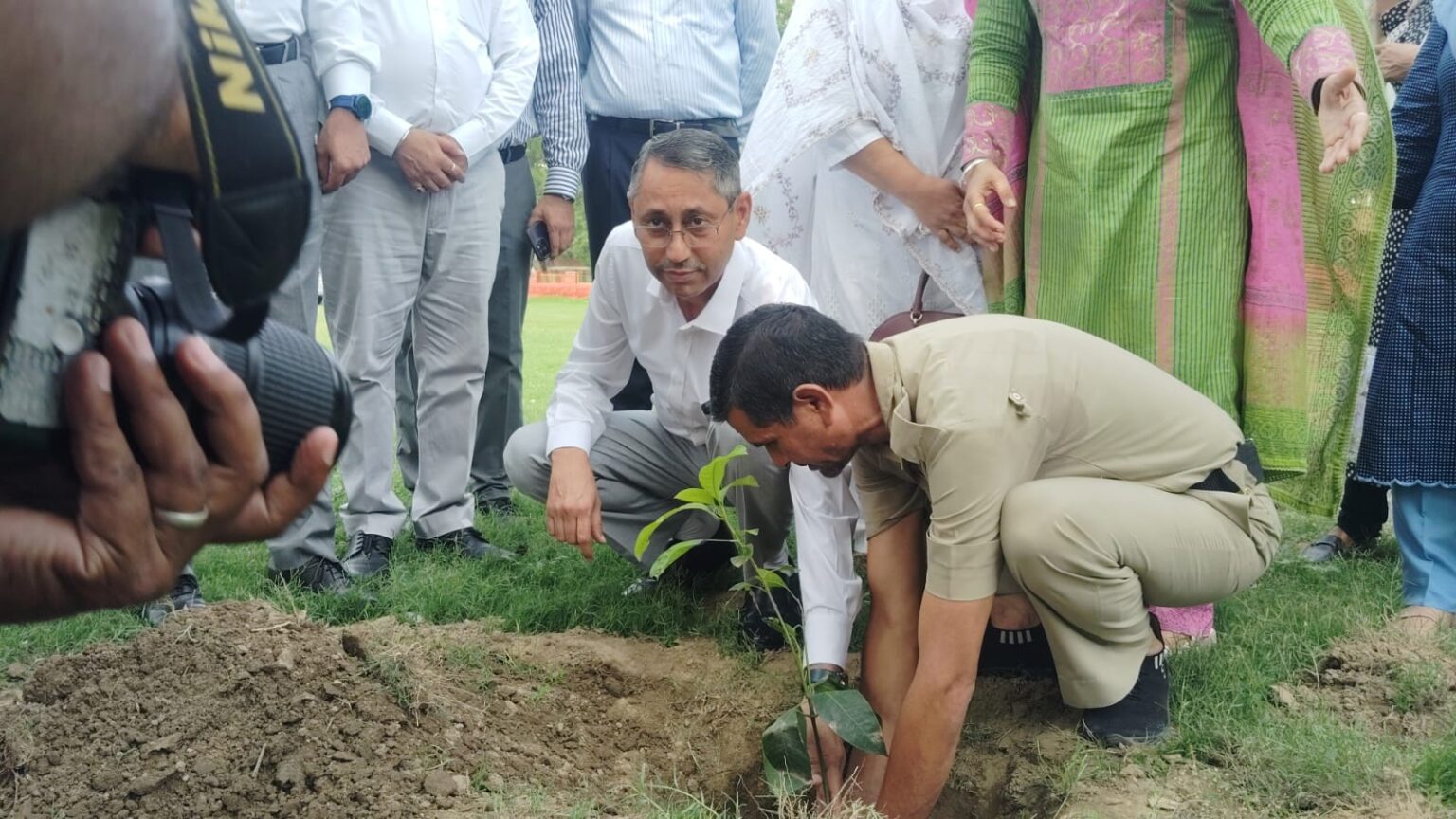 ‘ਮਿਸ਼ਨ ਵਨ ਜੱਜ-ਵਨ ਟ੍ਰੀ’: ਜ਼ਿਲਾ ਜਲੰਧਰ ਦੇ ਸਮੂਹ ਜੱਜਾਂ ਨੇ ਲਾਇਆ ਇਕ-ਇਕ ਬੂਟਾ, ਸਾਂਭ-ਸੰਭਾਲ ਲਈ ਕੀਤਾ ਅਡਾਪਟ