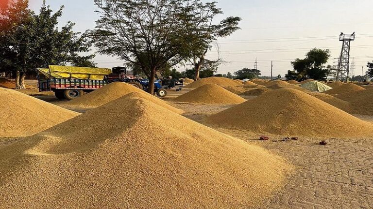 ਲੁਧਿਆਣਾ ਵਿੱਚ ਝੋਨੇ ਦੀ ਖਰੀਦ ਵਿੱਚ ਪਨਗਰੇਨ ਮੋਹਰੀ