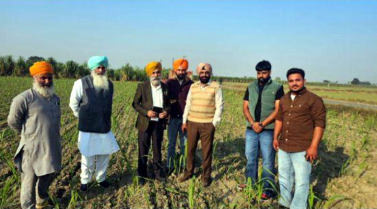 ਗੰਨੇ ਦੀ ਫ਼ਸਲ ਤੋਂ ਪ੍ਰਤੀ ਹੈਕਟੇਅਰ ਵਧੇਰੇ ਆਮਦਨ ਲੈਣ ਲਈ ਅੰਤਰ ਫ਼ਸਲੀ ਪ੍ਰਣਾਲੀ ਅਪਣਾਉਣ ਦੀ ਜ਼ਰੂਰਤ: ਕੇਨ ਕਮਿਸ਼ਨਰ