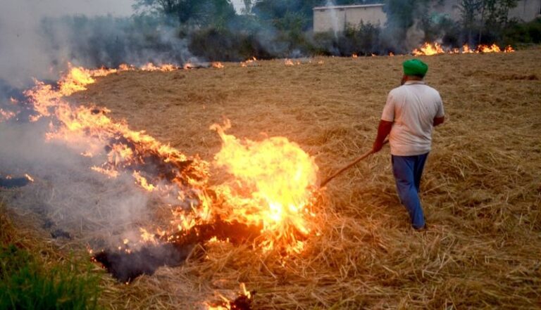 Stubble Burning: ਪਰਾਲੀ ਸਾੜਨ ਦੇ ਮਾਮਲਿਆਂ ਵਿੱਚ ਪੰਜਾਬ ‘ਚ ਆਈ ਗਿਰਾਵਟ, 50% ਮਾਮਲੇ ਘਟਨ ਤੋਂ ਬਾਅਦ ਦਿੱਲੀ ਦੇ ਪ੍ਰਦੂਸ਼ਣ ‘ਤੇ ਉੱਠੇ ਸਵਾਲ