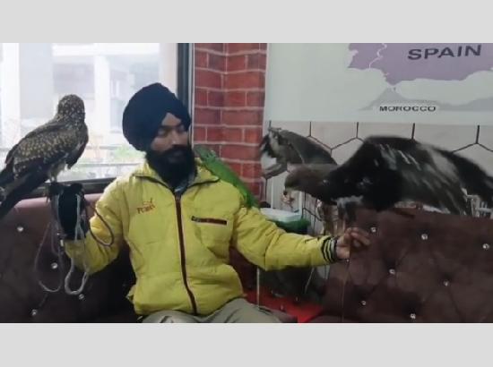 ਅਲੋਪ ਹੋ ਰਹੇ ਪਸ਼ੂ ਪੰਛੀਆਂ ਨੂੰ ਰੱਖਣਾ ਨੌਜਵਾਨ ਦਾ ਹੈ ਸ਼ੋਕ ਨੌਜਵਾਨ ਨੇ ਰੱਖੇ ਦੋ ਬਾਜ ਅਤੇ ਵਿਦੇਸ਼ੀ ਕਿਰਲਾ