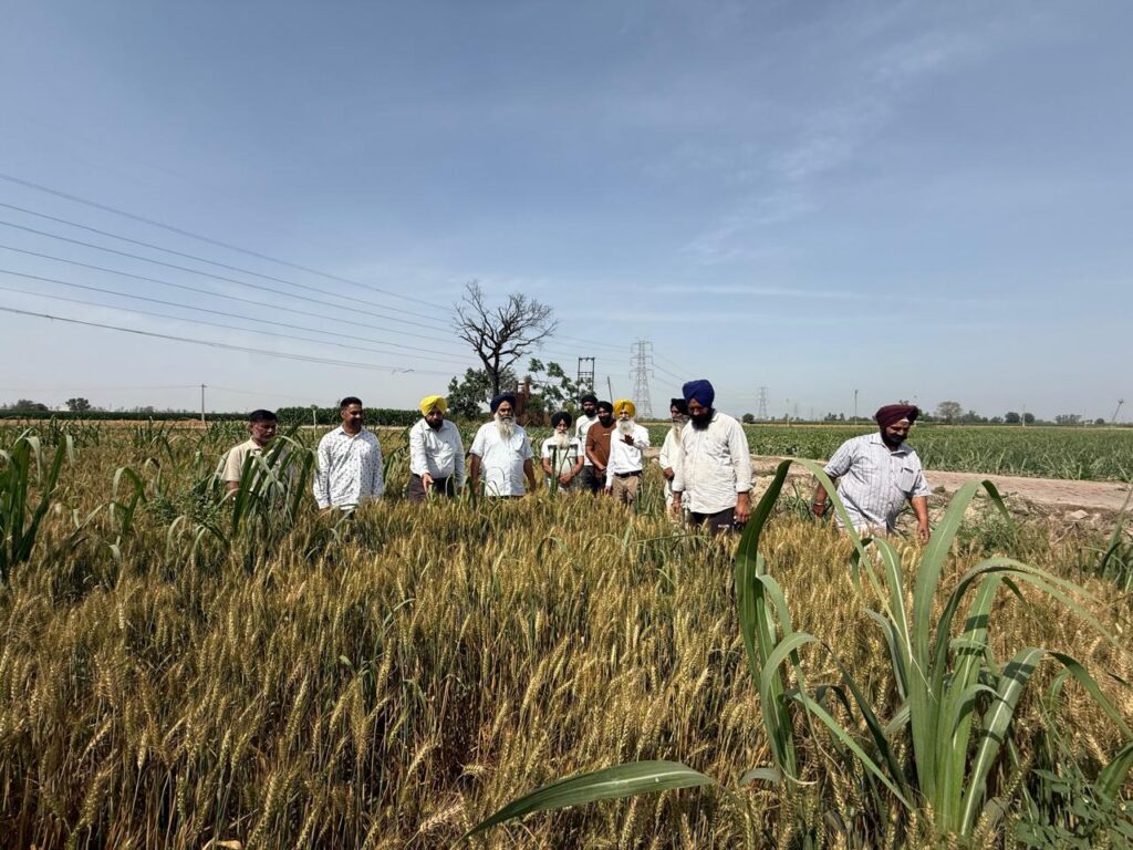 ਪਿੰਡਾਂ ’ਚ ਨੁੱਕੜ ਮੀਟਿੰਗਾਂ; ਗੰਨਾ ਕਾਸ਼ਤਕਾਰਾਂ ਨੂੰ ਗੰਨੇ ਦੀ ਫ਼ਸਲ ’ਚ ਖਾਦਾਂ ਦੀ ਸੰਤੁਲਿਤ ਵਰਤੋਂ ਕਰਨ ਲਈ ਕੀਤਾ ਜਾਗਰੂਕ